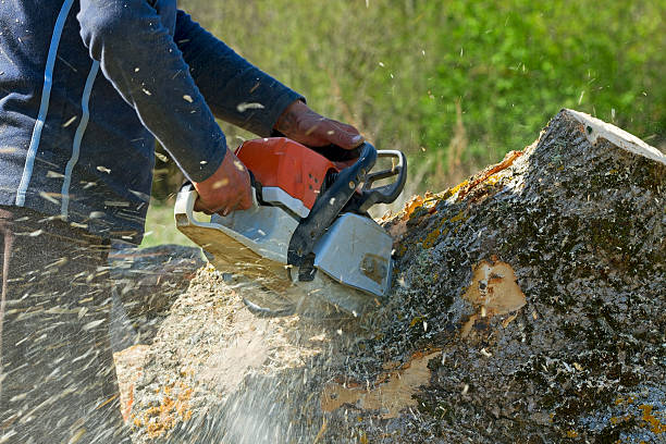 Lawn Irrigation Installation and Maintenance in New Windsor, MD